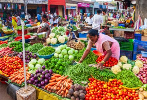 Winter and the goodness of nature's bounty - Times of India