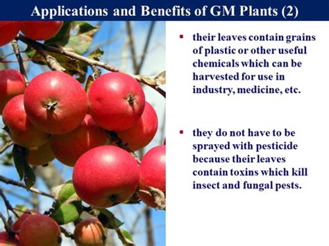 Genetic Modification 的图像结果