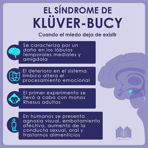 Síndrome de kluver Bucy