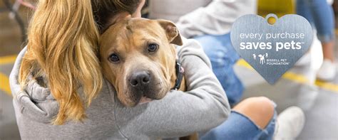 Bissell Paid Program 的图像结果