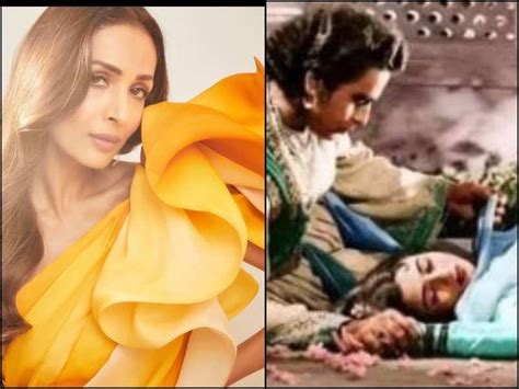 Malaika Arora shares a meme mocking her song ‘Anarkali Disco Chali’ and ...