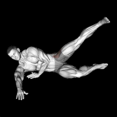 Machine Hip Abduction: Guide, Muscles Worked, Tips | Athlemove