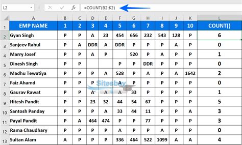 Count Function in Excel