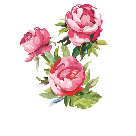 蔷薇花的养殖方法和注意事项 - 花百科