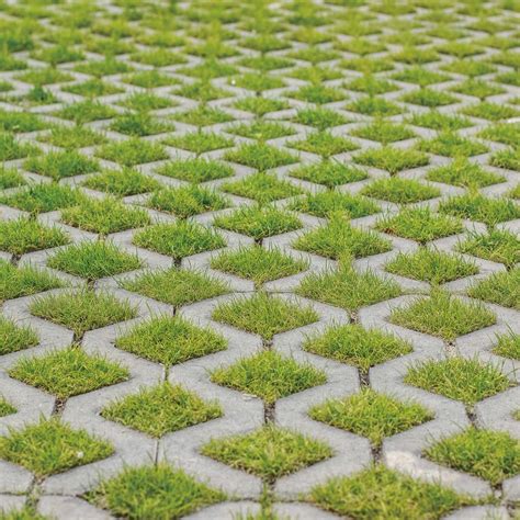 Concrete Grid Pavers Grass Grid Paver – Ecological Grass Paving With