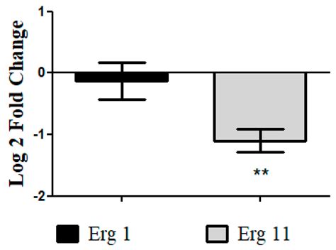 Membranolytic Activity Profile of Nonyl 3,4-Dihydroxybenzoate: A New ...