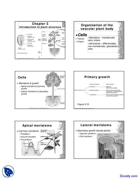 Botany 的图像结果