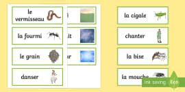 La Cigale et la Fourmi - PowerPoint - Cycle 2