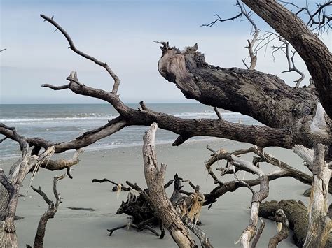 Events, Classes, & Excursions for Seniors | Myrtle Beach SC