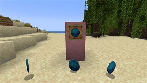 Image result for Heart of the Sea Minecraft Tutorial