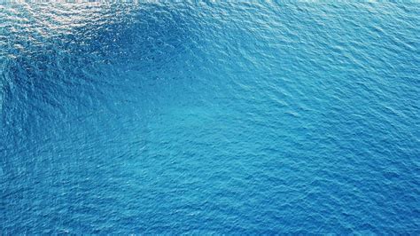 Rezultat imagine pentru UModel Texture