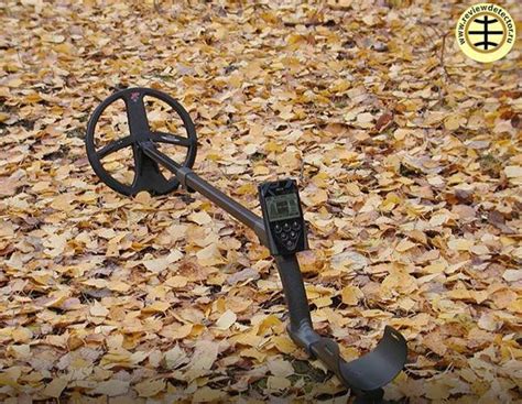 XP Deus Problems 的图像结果