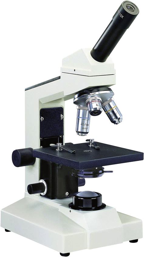 Image result for Microscope Optique