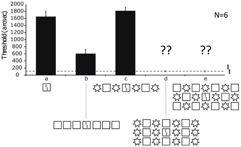 The Irreducibility of Vision: Gestalt, Crowding and the Fundamentals of ...