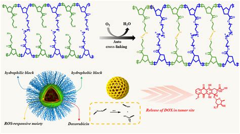 Embedding Diselenide Cross‐Linked Polymer Nanoparticles In Situ Using ...