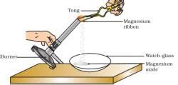 NCERT Based Activity : Chemical Reactions and Equations | Science Class ...