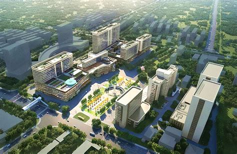 潍坊滨海经济技术开发区绿化、水系全覆盖规划设计 - 专业景观绿化规划设计
