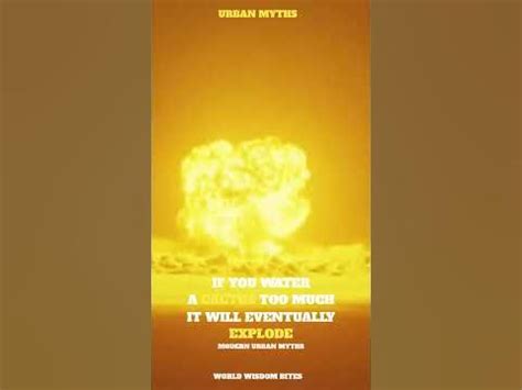 Image result for Exploding Cactus Prank