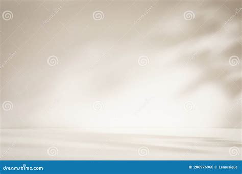 Beige Flooring and Walls in Sunlit Room with Leaf Shadows As Background ...