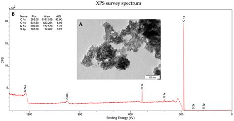 A Comprehensive Assessment of the Biocompatibility and Safety of ...
