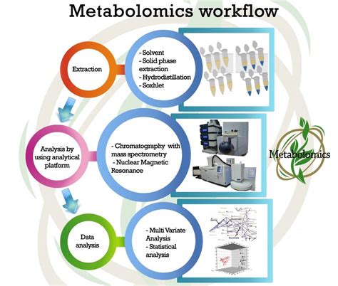Image result for Metabolomics Tutorial