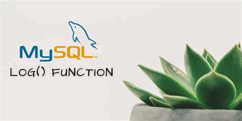 MySQL Log 的图像结果