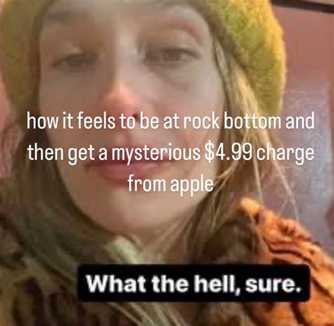 November 13th, 2024 post by @fembiotic | Know Your Meme