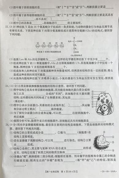 2019湖南衡阳八中上学期高一生物期中考试试卷