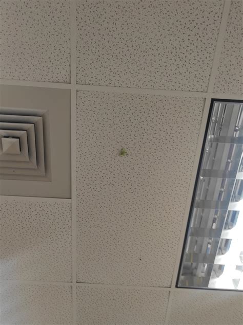 Sticky-Note Plane 的图像结果