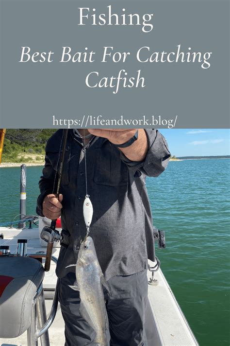 Image result for Catching Bait Fish