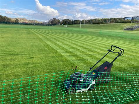 How to Pre-Germinate Grass Seed in 4 Steps | Turfcareblog