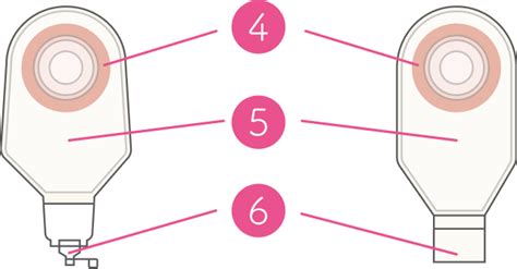Image result for API Automation Using Selenium