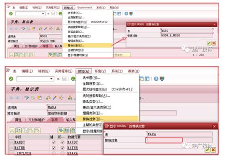 SAP Coding Block 的图像结果