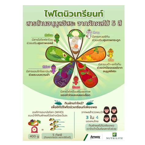 Buy Nutrilite Double X Amway Multivitamin Anti Oxidant 31-Day Refill ...