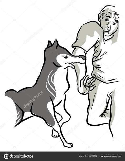 How to break a dog from biting strangers: Why your "friendly" dog is ...