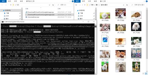 Image result for Selenium Python Download Images