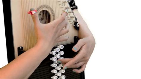 Beginning Autoharp Lessons Free 的图像结果