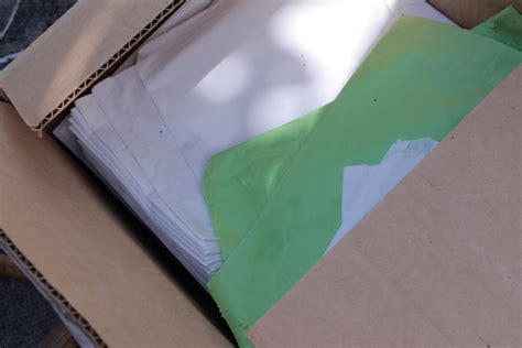 Image result for Codling Moth Control