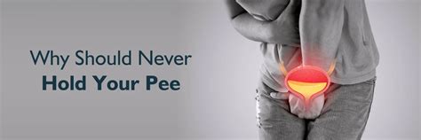 Hold your pee:Understanding Why You Shouldn't Delay Urination