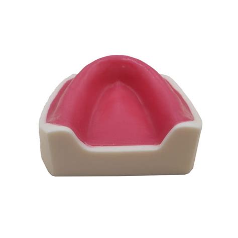 Conduction Anesthesia 的图像结果