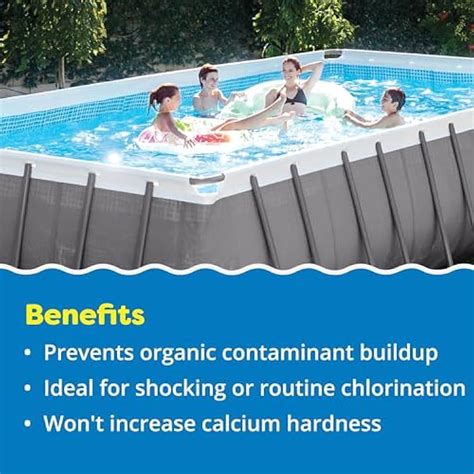InTheSwim In The Swim Sodium Dichlor Chlorine Shock Granules India | Ubuy