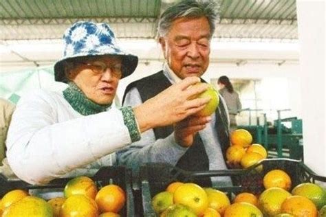【这群朴实的果农有十多万斤脐橙待售 诚邀您为他们打CALL| 何先太每天都要与57岁的妻子戴华珍打】_傻大方