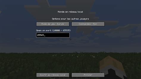 Image result for Minecraft LAN Setup