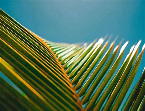 133 Positive Words Ending In 're': To Inspire And Admire