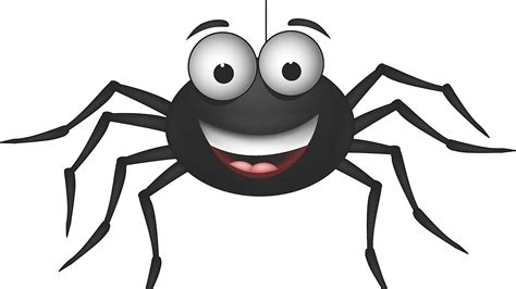 Fun Facts About Spiders | Spider cartoon, Spiders funny, Get rid of spiders