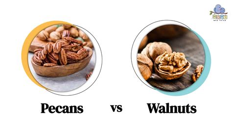 Pecan Vs Walnut