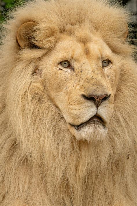 Sophie+Rain+Images Photos, Download The BEST Free Sophie+Rain+Images Stock Photos & HD Images