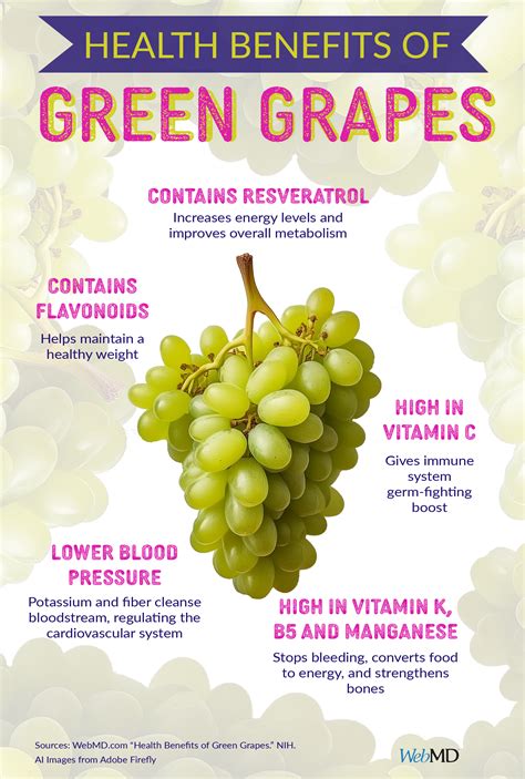 Health Benefits of Grapes | Food health benefits, Grapes benefits, Grape health benefits