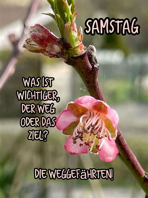 Samstag - Guten Morgen Lustig